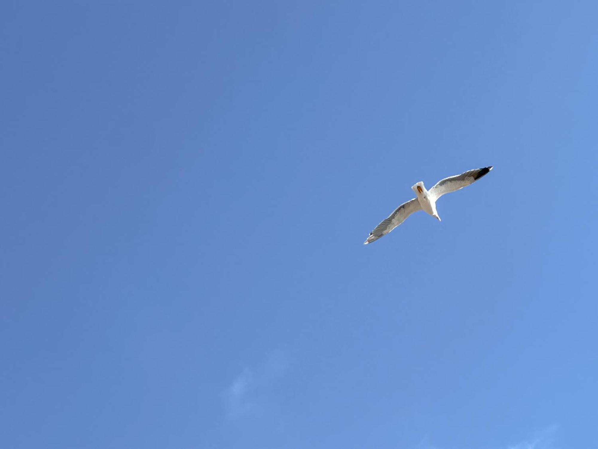 Apartamento Mirador Del Mediterraneo マラガ エクステリア 写真
