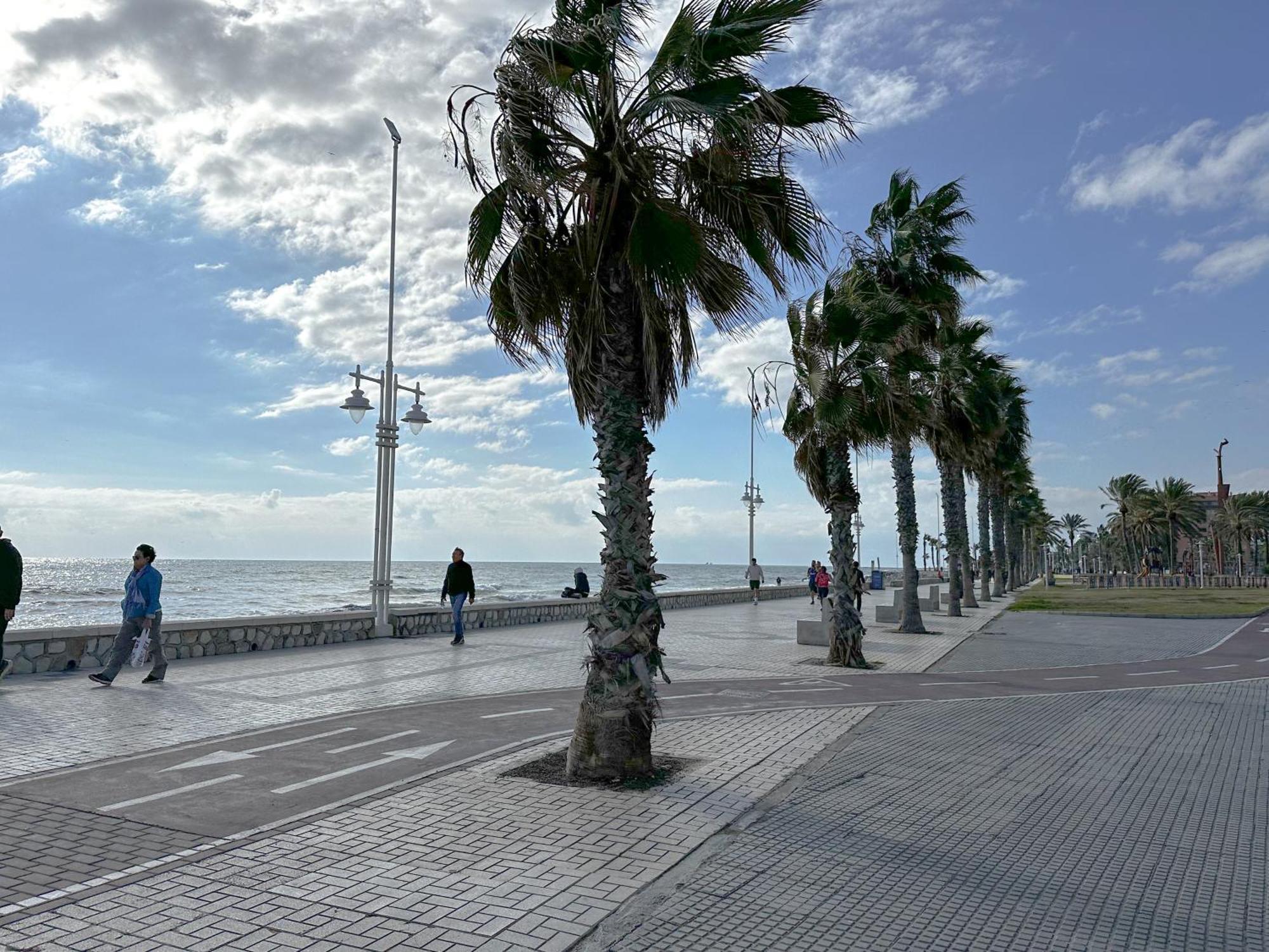Apartamento Mirador Del Mediterraneo マラガ エクステリア 写真
